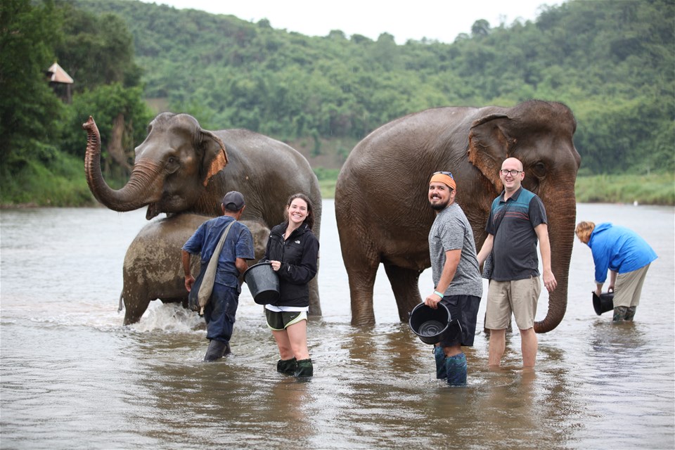 Therapeutic Trek with Elephants